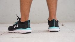 Cut In Half Under Armour Charged Assert Review Runrepeat