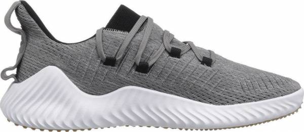 Only $65 + Review of Adidas Alphabounce 