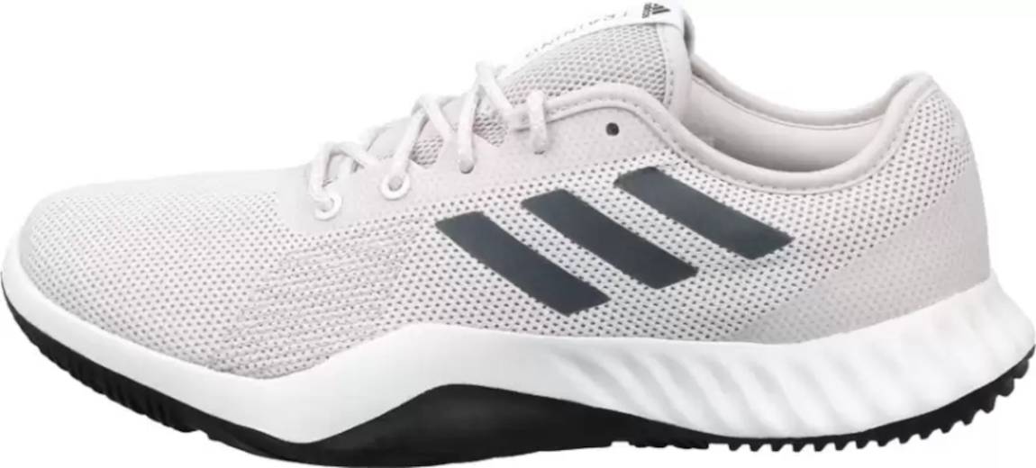 Adidas Crazytrain LT only $65 + review 