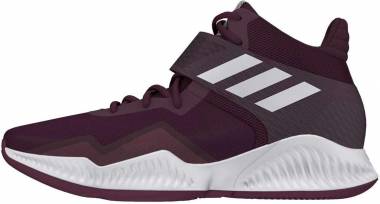 maroon adidas basketball shoes