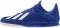 Adidas X 19.3 Indoor - Team Royal Blue/Ftwr White/Core Black (EG7154)