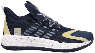 Adidas Pro Boost Low - Blue (FY4156)