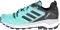 Adidas Terrex Skychaser 2.0 GTX - Blue (FW2996)