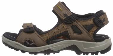 ecco yucatan sandals waterproof