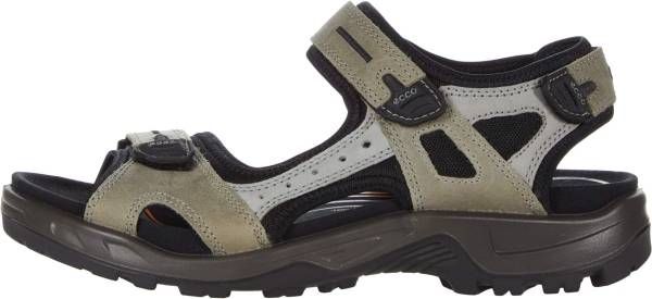 ecco men's yucatan sandal review