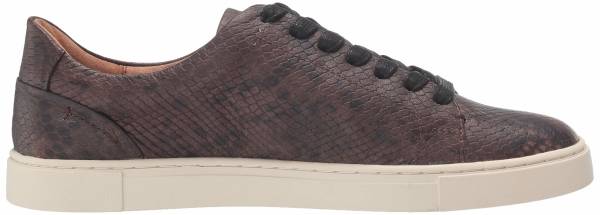 frye sneakers