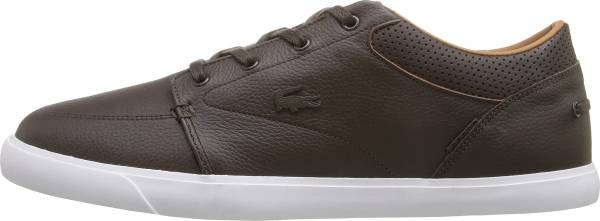 lacoste bayliss black