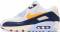 Nike Air Max 90 Essential - Pure Platinum/Blue Void-Royal Tint-Yellow Ochre (AJ1285008)