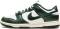 Nike Dunk Low - Green (DQ8580100)