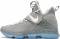 Nike LeBron XIV - Matte Silver/Glow-White (852405005)