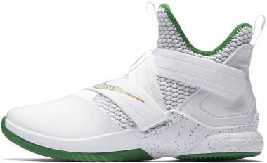 Nike LeBron Soldier 12 - Green,white (AO4053100)