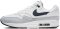 Nike Air Max 1 - Platinum Tint / Wolf Grey / Dark Obsidian (FD9082002)