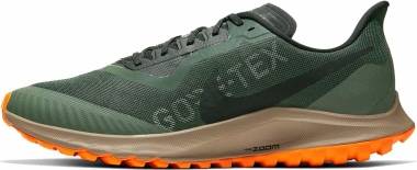 Nike Air Zoom Pegasus 36 Trail GTX - Green (BV7762300)