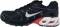 Nike Air Max Torch 4 - Black/White University Gold (CN2159001) Nike Air Max Torch 4 - Black/White University Gold (CN2159001)