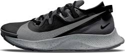 Nike Pegasus Trail 2