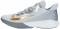 007 wolf grey gold-metallic silver (CK1069007)