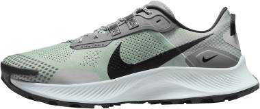 Nike Pegasus Trail 3 - Dusty Sage/Smoke Grey/Light Smoke Grey/Black (DV3035001)