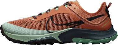 Nike Zoom Terra Kiger 8 - orange (DH0649801)