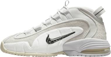 Nike Air Max Penny - Photon dust/ black-summit whit (DX5801001)
