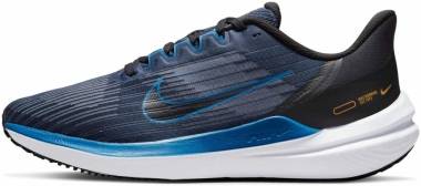 Nike Air Winflo 9 - Blue (DD6203400)