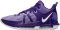 Nike Lebron Witness 7 - Court Purple/White (DZ3299500)