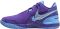 Nike Lebron NXXT GEN - Field Purple/Metallic Silver (FJ1566500)