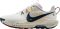 Nike Pegasus Trail 5 - Summit White Pure Platinum Foo (DV3864102)
