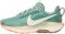 Nike Pegasus Trail 5 - Blue (DV3865010)