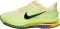 Nike Pegasus Premium - Green (HQ2592701)
