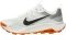Nike Wildhorse 10 - White (FV2338103)