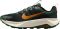 Nike Wildhorse 10 - Black/Fir/Bright Crimson/Desert Ochre (FV2338005)