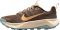 Nike Wildhorse 10 - Marron (FV2337201)