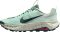 Nike Wildhorse 10 - Green (FV2338301)