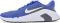 Nike Flex Train - Blue (HV9982500)