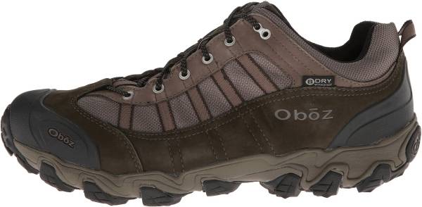 Men's Oboz Tamarack BDry Hiking Shoe