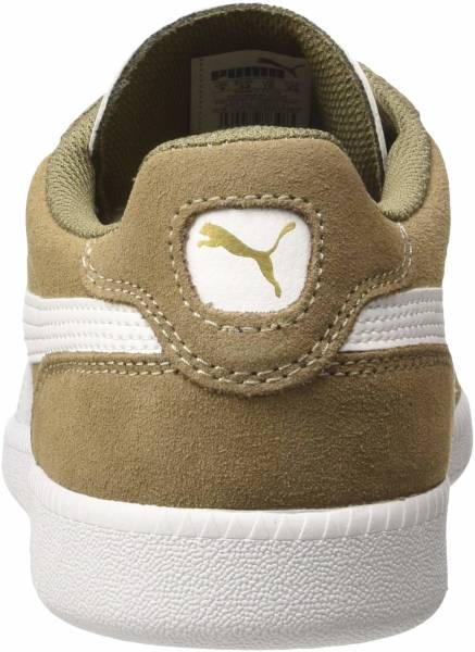 fossil puma