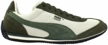 Puma Speeder Mesh - Green,Off White (36845202)