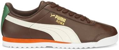 PUMA Roma Basic + - Brown (36957143)