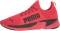 Puma Jammers Mens - High Risk Red/Black (37654002)