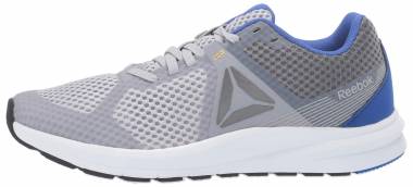 Reebok Endless Road - Cold Grey/Crushed Cobalt/Solar Gold/White/Shadow (CN6426)