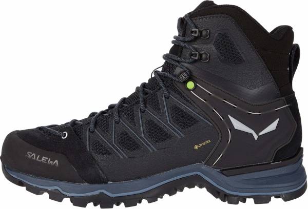 salewa mountain mid gtx