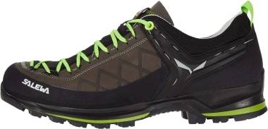 Salewa Mountain Trainer 2