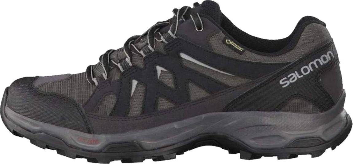 salomon men's rhossili gtx walking shoes