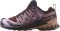 Salomon XA Pro 3D v9 - Rum Raisin / Orchid Bouquet / Canyon Cl (L475893)