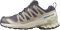 Salomon XA Pro 3D v9 GTX - Nine Iron / Oxford Tan / Alfalfa (L477447)