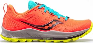 Saucony Peregrine 10