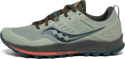 Saucony Peregrine 10