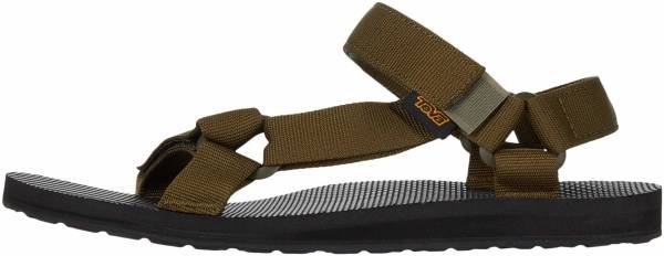 Teva Original Universal Review, Facts, Comparison