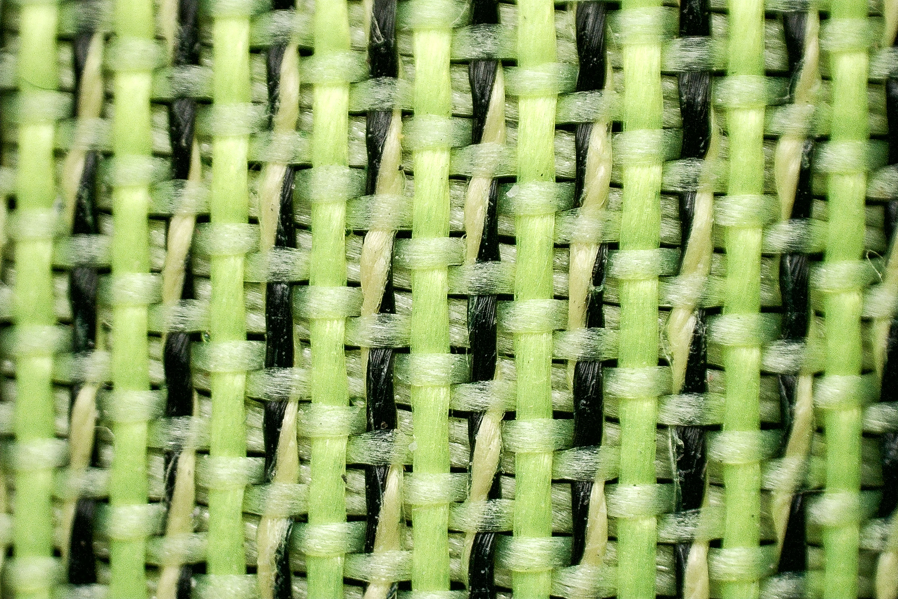 matryx upper under the microscope