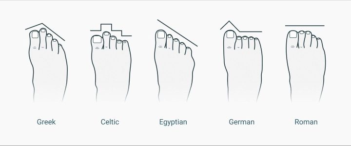 different shapes of toes 